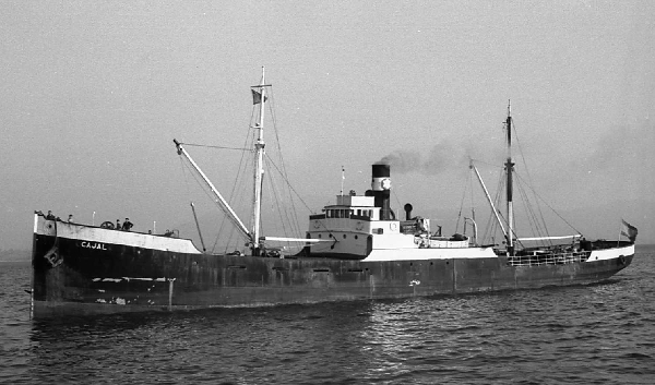 Cajal by T. Diedrich Cajal by T. Diedrich